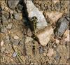 75594 – Photo : Jean-Yves Malmasson – France (15)