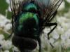 75638 – Photo : Elisabeth A. Harris – Royaume-Uni