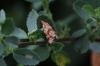 75228 – Photo : Johannic – France (72)