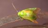 75699 – Photo : Axel Dehalleux – France (93)