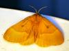 75846 – Photo : Richard Cuisset – France (39)