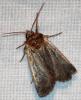 75527 – Photo : David Guedon – France (76)