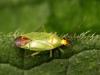 75746 – Photo : Vincent Derreumaux – Espagne