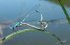 75658 – Photo : Noushka – France (31)
