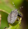 75049 – Photo : Régis Henry – France (06)