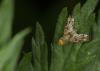 75048 – Photo : Michel Renou – France (91)