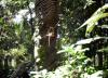76872 – Photo : X.leen – Thaïlande