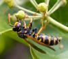 76160 – Photo : Pierre Duhem – France (75)