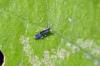 76441 – Photo : Christophe Quintin – France (21)