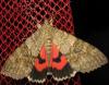 76040 – Photo : Axel Dehalleux – France (89)