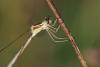 76311 – Photo : Bertrand Piney – France (44)