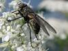 76019 – Photo : Elisabeth A. Harris – Royaume-Uni