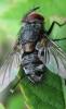 76701 – Photo : Elisabeth A. Harris – Royaume-Uni