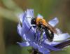 76143 – Photo : patrick derennes – France (44)