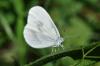 76538 – Photo : C.gager – France (25)