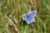 76006 – Photo : C.gager – France (29)