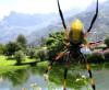 76712 – Photo : Alain BLED – Réunion (La)