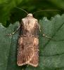 76328 – Photo : Pelouard – France (72)