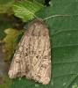 76429 – Photo : Pelouard – France (72)