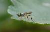 76972 – Photo : Sylvain Fadda – France (13)
