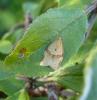 76564 – Photo : Bejac – France (85)