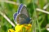 76413 – Photo : C.gager – France (25)