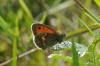 76004 – Photo : C.gager – France (29)