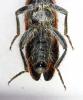 76820 – Photo : znort – Grèce