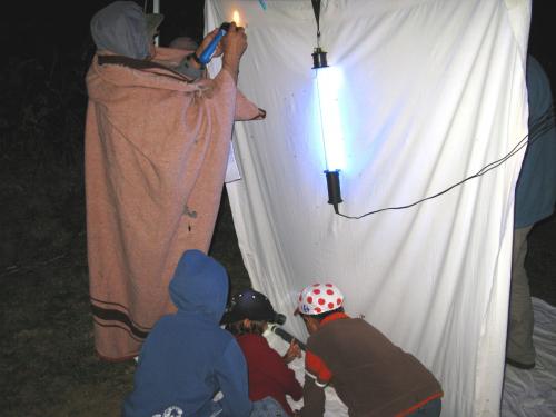 Lumineux drap