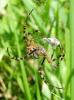 77995 – Photo : Vincent VALLI – France (10)