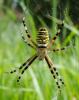 77994 – Photo : Vincent VALLI – France (10)