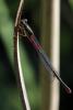 77096 – Photo : Liboupat – France (05)