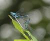 77904 – Photo : Fred More – France (22)