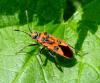 77996 – Photo : Vincent VALLI – France (10)