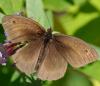 77283 – Photo : Patrick Decreus – France (93)