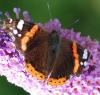 77282 – Photo : Patrick Decreus – France (93)