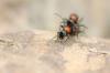 77400 – Photo : Juliane Casquet – France (12)