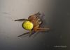 77852 – Photo : Francois Diemert – France (17)