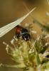 77820 – Photo : Maite Santisteban Rivero – Espagne