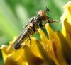 77229 – Photo : Elisabeth A. Harris – Royaume-Uni