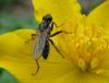 77876 – Photo : Elisabeth A. Harris – Royaume-Uni