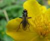 77877 – Photo : Elisabeth A. Harris – Royaume-Uni