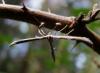 77550 – Photo : Vincent VALLI – France (10)