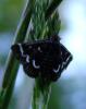 77766 – Photo : Vincent VALLI – France (10)