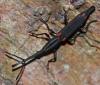 78391 – Photo : Sébastien Cally – Madagascar