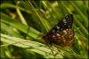 78471 – Photo : Delahaye Thomas – France (73)