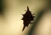 78477 – Photo : Laure Marquet – Madagascar