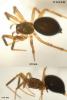 78698 – Photo : roy – France (85)