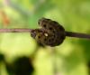 78147 – Photo : Fred More – France (22)