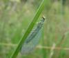 78180 – Photo : Fred More – France (22)